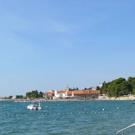 Dragica 3*