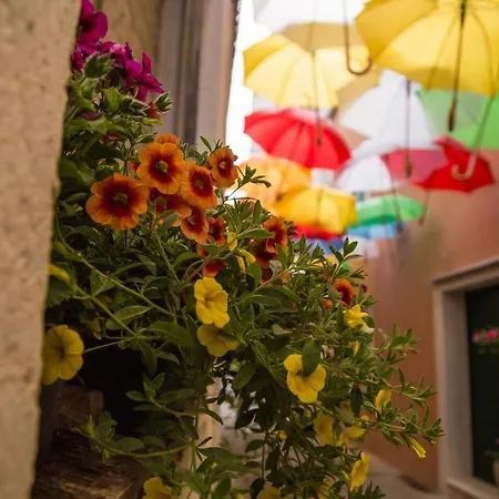 Dragica Guest house 3*